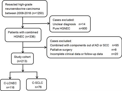 Comparative Study of Pulmonary Combined Large-Cell Neuroendocrine Carcinoma and Combined Small-Cell Carcinoma in Surgically Resected High-Grade Neuroendocrine Tumors of the Lung